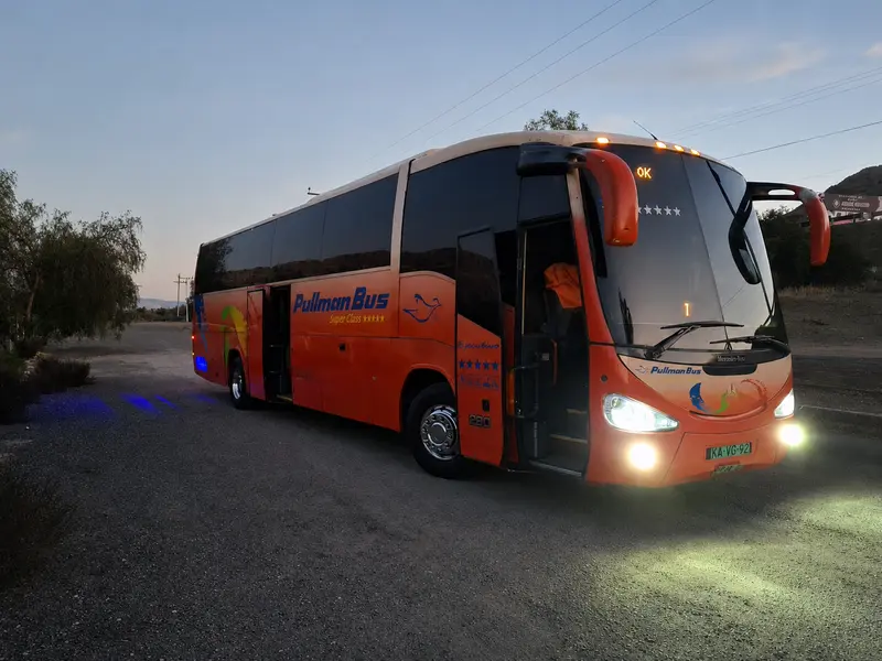 Bus 40+ pasajeros